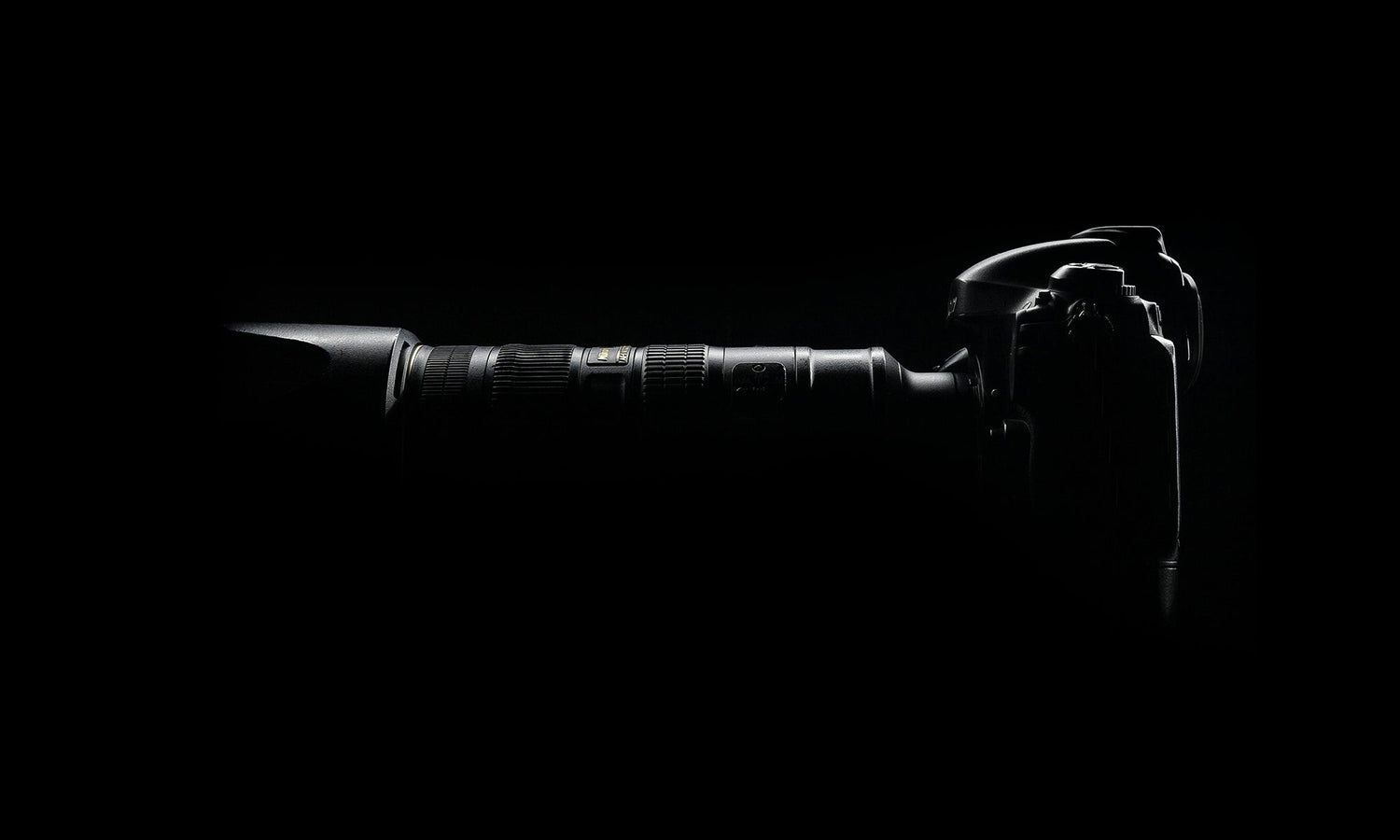 Transform Your Brand with Digital Perfection